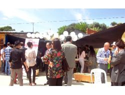 Balık Ekmek Şenliği Foça'ya Taşındı