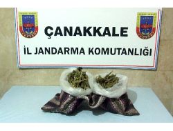 Çanakkale'de Uyuşturucu Operasyonu
