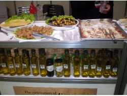 Zeytinciler Brezilya Pazarının Kapısını Araladı