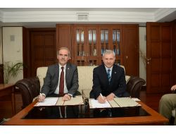 Osmanlı Yadigarı Çınarlar Çelikleme Yöntemi İle Gelecek Nesillere Aktarılacak