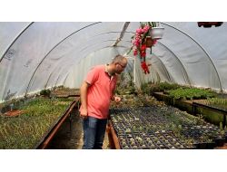 Bereket Ailesinin Kaktüs Sevdası 'Bereket' Getirdi