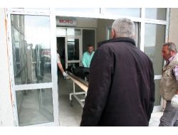 Koyun Otlatan Çoban, Kadın Cesedi Buldu
