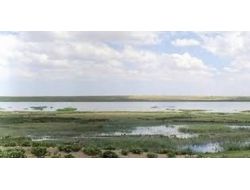 Eşmekaya Sazlığı Bir Zamanlar Göldü, Çöl Oldu