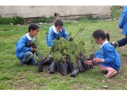 Üniversite Öğrencileri Taşlıçay’da Fidan Dikti