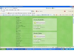 Görme Engeliler İçin, Sesli Web Sitesi Kurdular