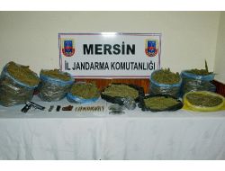 'Mersin'de Operasyon'