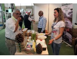 Kozak Ürünleri Fuarda İlgi Odağı Oldu