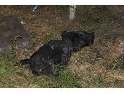 6 Ay Önce Kaybolan Babasının Cesedini Çalıştığı Yerde Buldu