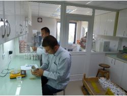 Tahılda Verim 80 Kilolardan 1 Tonlara Ulaştı