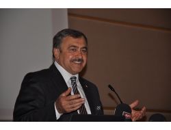 Bakan Eroğlu: Afyon 2014'de Fırtına Gibi Esecek