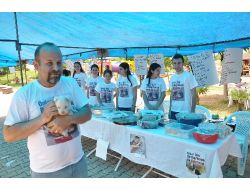 Sokak Hayvanları İçin Kermes Düzenlediler