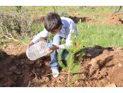 Hami-yet Anneleri, Vefat Etmiş Eşleri İçin Fidan Dikti