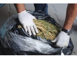 Kırıkkale'de 100 Kilo Esrar Yakalandı
