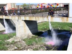 Çubuk'ta Larva Mücadelesi Yapılıyor