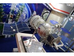 Rusya’nın Uzaya Gönderdiği Fareler Öldü, Kertenkeleler Yaşıyor