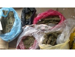 Ceylanpınar Emniyeti Esrar Maddesi Ele Geçirdi