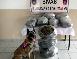 Sivas Jandarması'ndan Uyuşturucu Operasyonu