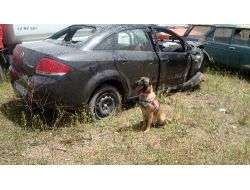 Kaza Yapan Arabadan Esrar Çıktı