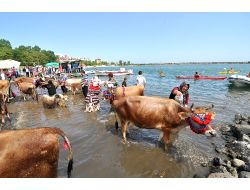 Beü Rektörü Prof. Dr. Özer: Öğrenci Sayısında Yüzde 30’luk Artış Sağladık