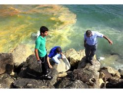 Gemilerden Bırakıldığı İddia Edilen Atıklar Denizi Kızıla Boyadı