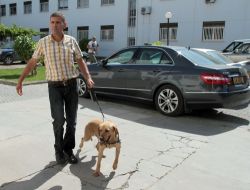 Kıbrıs'ta Bomba İhbarı Milletvekillerini Korkutamadı