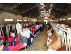 '21 MAYIS DÜNYA SÜT GÜNÜ' KUTLANDI