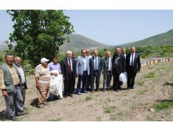 Üçkuyu Köyünde Organik Bal Üretilecek