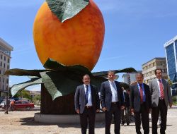 Kayısı Başkentine İki Kayısı Anıtı Dikildi
