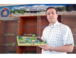 Dr. Doygun: Çevre Sorunlarının Etkisi Yeşil Alanlarla Azaltılabilir