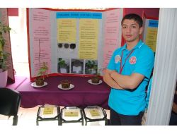 Kur'an-ı Kerim Dinletilen Bitki 3 Kat Daha Fazla Büyüdü