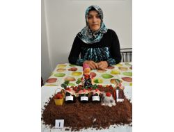 En Güzel Çilekli Pasta Ve Bilgi Yarışması Yapıldı