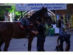 Atlı Polis Kaza Geçirdi