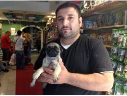 Köpek Hırsızları Kamerada