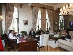 Zarar Gören Ormanlar Yeniden Oluşturulacak