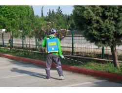 Gaziantep Sokakları İlaçlanmaya Başlandı