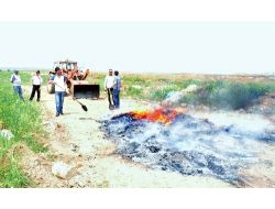 Bir Ton Uyuşturucu Madde İmha Edildi