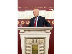 Bdp'li Zenderlioğlu, İmralı'ya Yeni İnsanlar Gitmesini İstedi