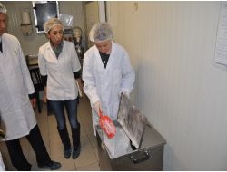 SICAKTA BAKTERİLER HIZLI ÜRÜYOR