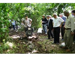 Fındık Zurufu Meyve Bahçelerinde Organik Gübre Olarak Kullanılacak