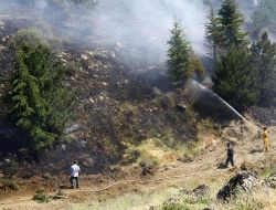 Eskişehir’de 3 Orman Yangınında 12 Hektar Alan Kül Oldu
