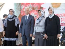 En Güzel Osmanlı Çilekleri Yarıştı