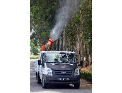 İzmir Sinekle Mücadeleye 11 Milyon Lira Ayırdı