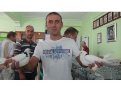 Güvercin Sevdalıları Edremit’te Bir Araya Geldi