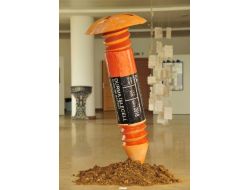 Saü'de Mezuniyet Sergisi