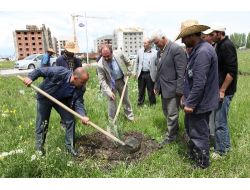 Ağrı İbrahim Çeçen Üniversitesi'ne Bin Fidan Dikildi