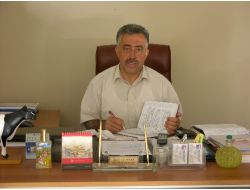 Giresun'da Anaç Sığır Destekleme Primleri Ödendi