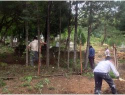 CHP'LİLER MEZARLIK TEMİZLEDİ