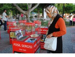 Manavgat'ta 400 Milyon Yıllık Fosil Sergisi Açıldı