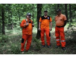 Yalova'da Kaybolan Çobanı Arama Çalışmaları Devam Ediyor