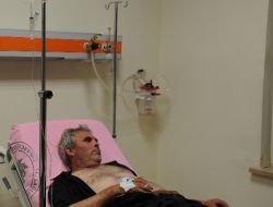 Yalova'da Kaybolan Çoban 48 Saat Sonra Bulundu